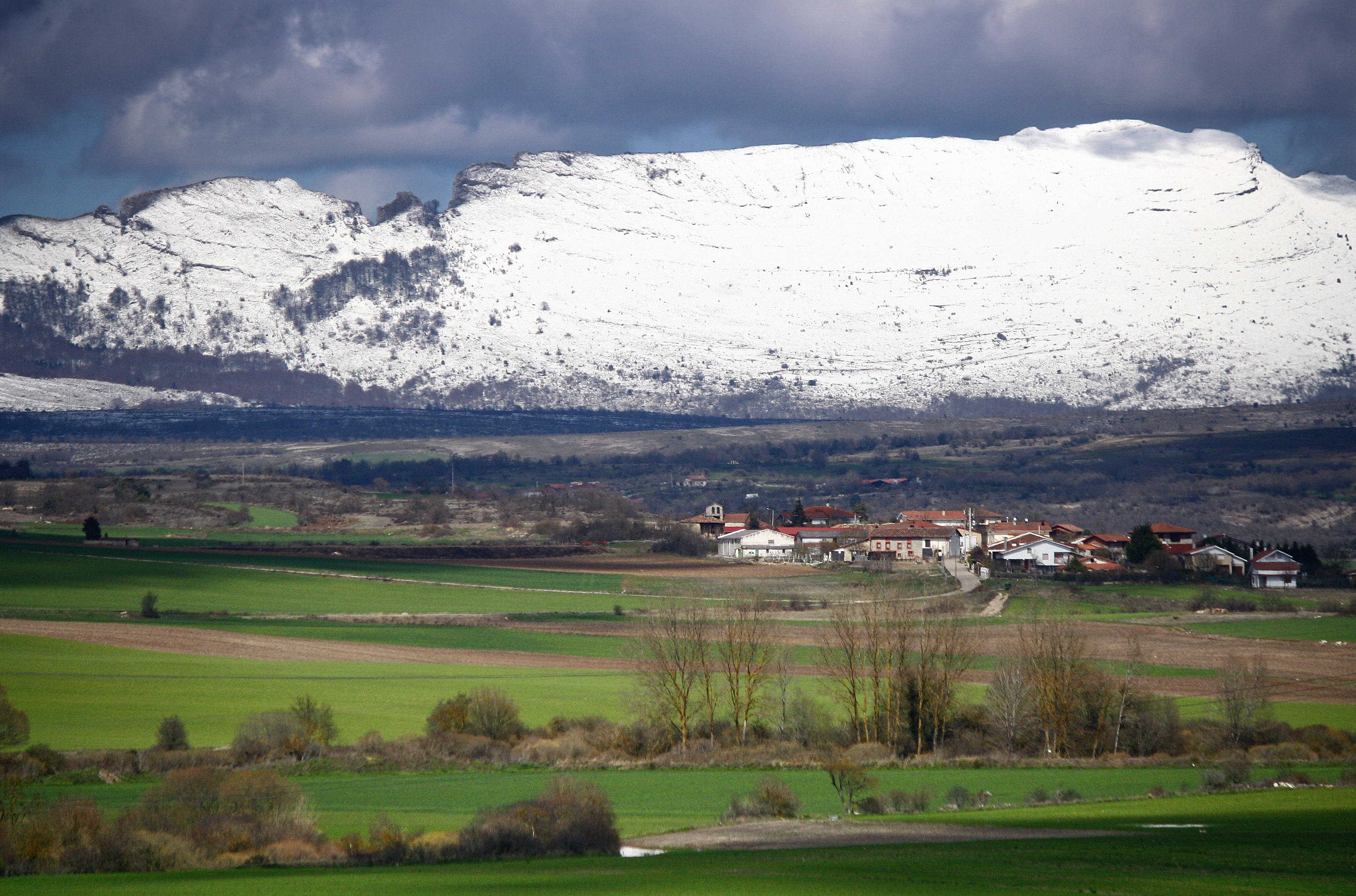 Colina